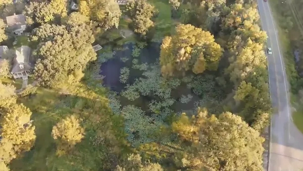 Tree and Debris Removal